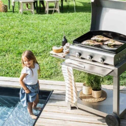 Combo Plancha Gaz Amalia Silver Edition 360 (capot + Chariot) - Le Marquier -Weber Magasin amalia silver edition le marquier 3339380164451 2