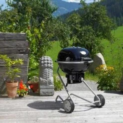 Barbecue Charbon Air F60 - Rosle* 16 Barbecue Charbon Air F60 - Rosle* -Weber Magasin barbecue charbon rosle f60 4004293250063 6