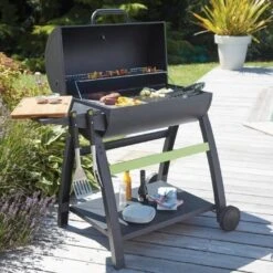 Weber Magasin -Weber Magasin barbecue tonino 1 charbon acier 3326880013365 1