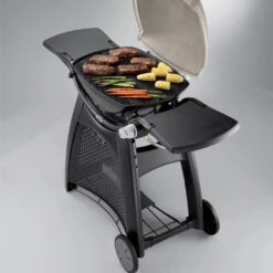 Grille De Cuisson Fonte émaillée Q300/Q3000 - Weber -Weber Magasin grille de cuisson pour q300 barbecue a gaz weber 0077924038853 3